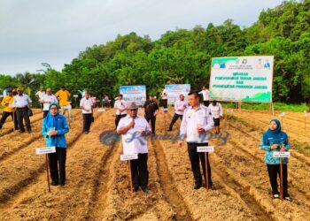 Pj. Gubernur Ali Baham Canangkan Penanaman 1 Hektar Lahan Jagung Di Kaimana