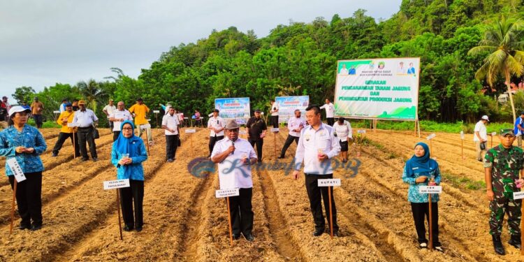 Pj. Gubernur Ali Baham Canangkan Penanaman 1 Hektar Lahan Jagung Di Kaimana