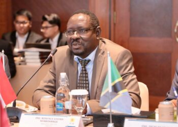 PLN Perkuat Sinergi Pengembangan Geothermal di Tanzania