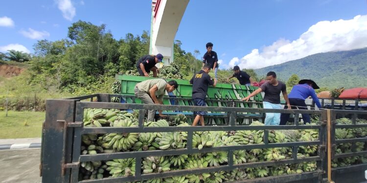 Nilai Ekspor PLBN Aruk Melonjak hingga Rp21,37 Miliar di Tahun 2023