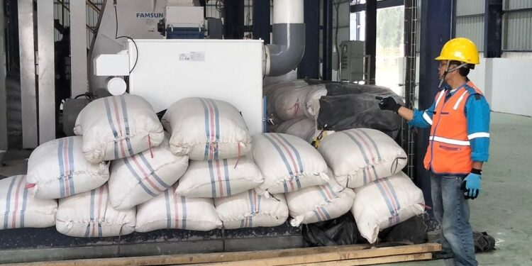 Disuplai Listrik PLN, Pabrik Jagung Milik Pemprov Sumbar Kini Mampu Produksi Hingga 50 Ton per Hari